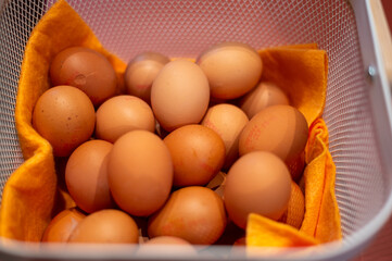 Fresh farmer's eggs in basket