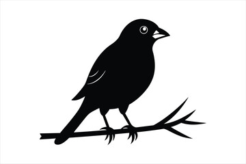  Weaver bird sitting on a branch silhouette black vector art illustration.