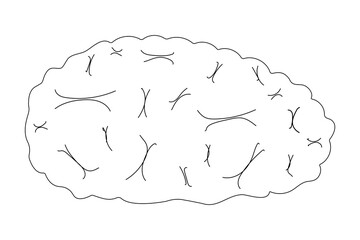 Printable Halloween brain coloring page. Fun and creative Halloween activity for kids to enjoy spooky drawing.