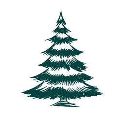 Christmas tree on white, hand drawn style, vector