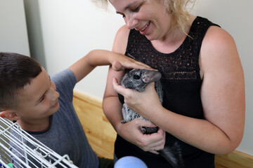People care for and play with chinchillas.