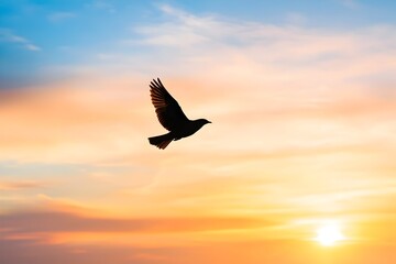 Naklejka premium Silhouetted Bird Soaring at Vibrant Sunset Sky