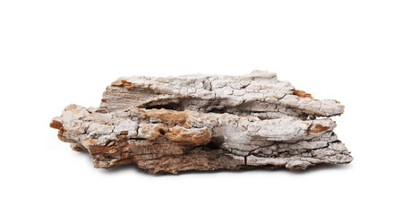 One piece of tree bark isolated on white