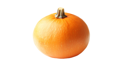 Pumpkin, white isolate background