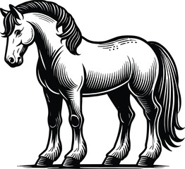 horse, animal, zebra, vector, mammal, illustration, black, silhouette, wild, cartoon, farm, stallion, wildlife, zoo, nature, animals, running, mane, drawing, art, equestrian, tail, safari, hoof, pony
