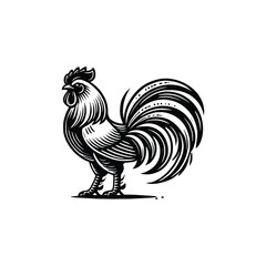 Rooster Vector Illustration – Detailed Black and White Graphic of a Proud Cockerel