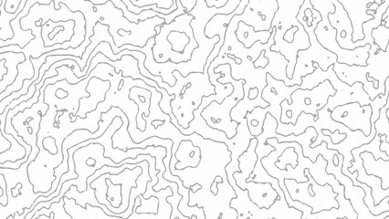 White wave paper curved reliefs abstract background. The topographic map contour in lines isolated.