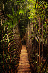 Wooden suspension bridge in Ubud, Bali, Indonesia, surrounded by lush nature, offering a peaceful and scenic escape.