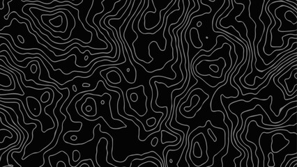 Fototapeta premium Background grid outline topographic map. Topographic lines, contour background