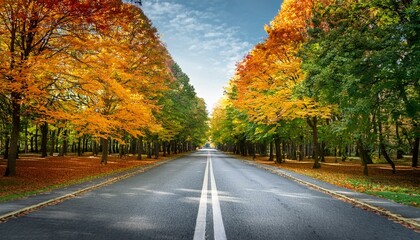 empty road and colorful yellow green and red trees in autumn park