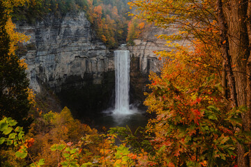 Waterfall Framed Against Tree Colorful Fall Foliage Orange Leaves Taughannock Falls Fingerlakes New York New England. Long Exposure Photography