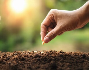 hand growing seeds on sowing soil background with copy space agriculture organic gardening planting or ecology concept sustainable business investment gospel spreading