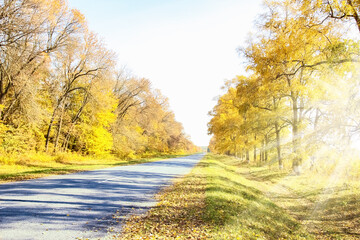 A Beautiful autumn road on nature park background