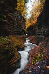 Beautiful Watkins Glen State Park Canyon Gorge River Winding Through Stone Walls. Autumn Season Fall Foliage Trees Above Wet Fantasy Location