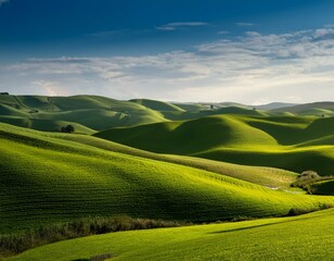 Obraz premium lush green rolling hills landscape