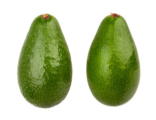 avocado path isolated on white