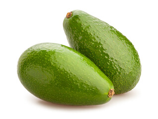 avocado path isolated on white
