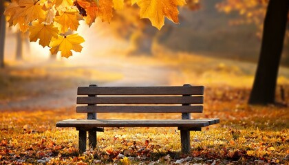 rural wooden bench autumn background