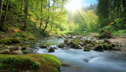 Obraz premium spring forest nature landscape beautiful spring stream river rocks in mountain forest