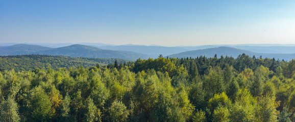 The landscape of Carpathian Mountains in the sunny weather. Perfect weather condition in the summer season