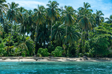 Obraz premium Beautiful Caribbean island scene with a tranquil beach, calm ocean waves, and tall palm trees, offering an idyllic travel destination for tropical holidays, eco-friendly tourism, and nature lovers