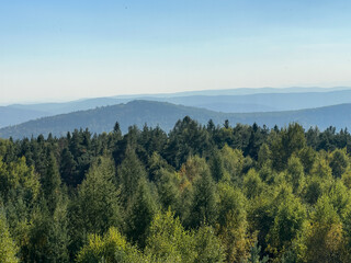 The landscape of Carpathian Mountains in the sunny weather. Perfect weather condition in the summer season