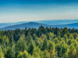 The landscape of Carpathian Mountains in the sunny weather. Perfect weather condition in the summer season