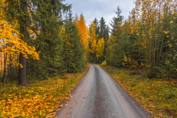 Obraz premium Image from a walk on the St. Olav's Way at Kapp by Lake Mjøsa in October.
