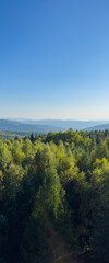 The landscape of Carpathian Mountains in the sunny weather. Perfect weather condition in the summer season