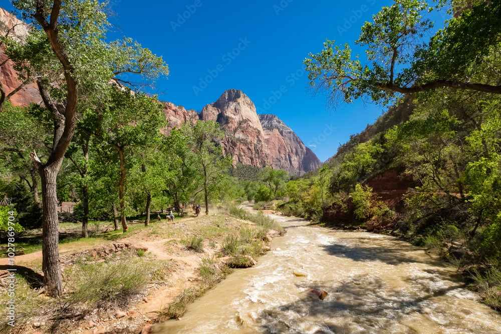 Wall mural zion national park in utah