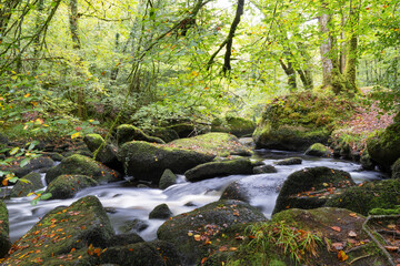 Obraz premium La rivière d’argent en pose longue dévoile une cascade fluide, entourée de feuilles aux couleurs automnales dans la mystique forêt d’Huelgoat, en Bretagne.