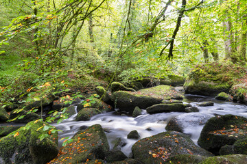 La rivi&egrave;re d&rsquo;argent serpente au c&oelig;ur de la for&ecirc;t d&rsquo;Huelgoat, sous des teintes automnales dor&eacute;es, captur&eacute;e en pose longue pour un effet soyeux et apaisant de l'eau.