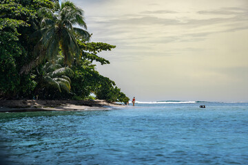 Beautiful Caribbean island scene with a tranquil beach, calm ocean waves, and tall palm trees, offering an idyllic travel destination for tropical holidays, eco-friendly tourism, and nature lovers