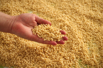 noodles for soup and ravioli made from homemade egg phyllo dough,