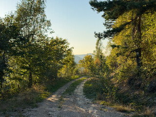 Obraz premium The landscape of Carpathian Mountains in the sunny weather. Perfect weather condition in the summer season