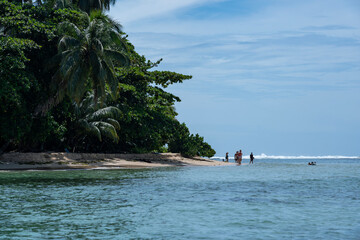 Beautiful Caribbean island scene with a tranquil beach, calm ocean waves, and tall palm trees, offering an idyllic travel destination for tropical holidays, eco-friendly tourism, and nature lovers