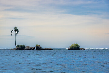 Lonely tropical island rock with a solitary palm tree, surrounded by clear blue ocean waters and  vegetation, offering a tranquil, scenic escape ideal for peaceful vacations and nature exploration