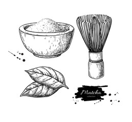 Matcha tea vector drawing. Bowl with matcha powder, green tea leaves, and bamboo whisk sketch. 