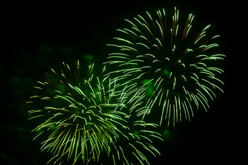 Green and silver bright sparks of fireworks on the black sky