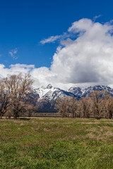 Majestic Grand Teton Mountains Under a Bright Blue Sky