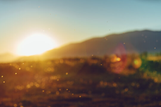 Abstract blurred background with sunset over the mountains
