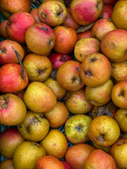 ripe apples in a market
