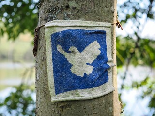 Vintage Abbildung einer Friedenstaube vor einem unscharfen Hintergrund