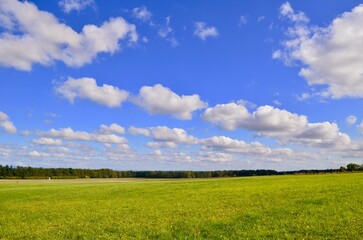 autumn landscape blue sky yellow trees