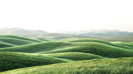 Bright green grassy field, isolated on a pristine white background. Ideal for spring and summer themes