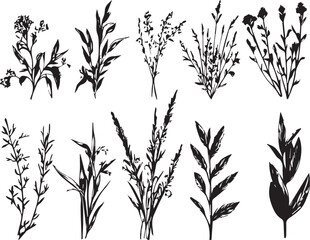 Set plants. Hand drawn vector illustration