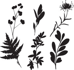Set plants. Hand drawn vector illustration