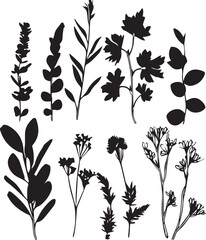 Set plants. Hand drawn vector illustration