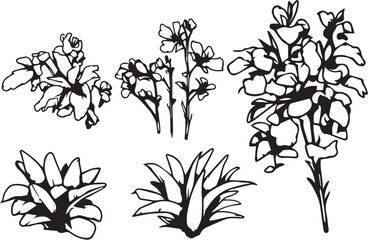 Set plants. Hand drawn vector illustration