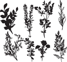 Set plants. Hand drawn vector illustration